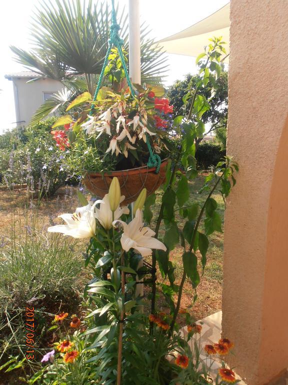 Apartment Steblaj Pula Dış mekan fotoğraf